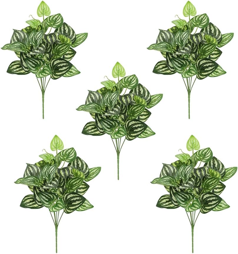 Peperomia Watermelon - 5 шт. арбуз Peperomia искусственное растение