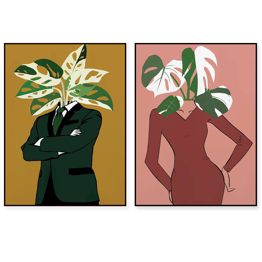Монстера Альбо в плакате бордо – обзор и цена Monstera Adansonii